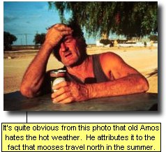 It's quite obvious from this photo that old Amos hates the hot weather.  He attributes it to the fact that mooses travel north in the summer. 