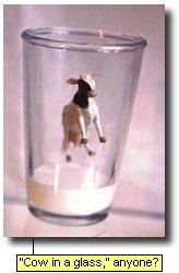 'Cow in the glass,'  anyone?