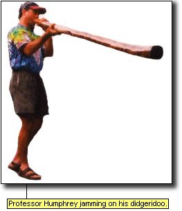 Professor Humphrey jamming on his didgeridoo.