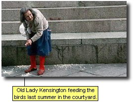 Old Lady Kensington feeding the birds last summer in the courtyard.