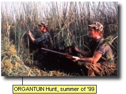 ORGANTUIN hunt. summer of '99.