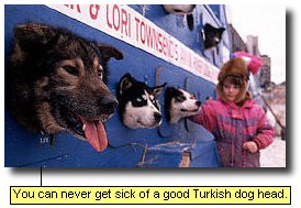 You can never get sick of a good Turkish dog head.