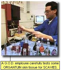 A G.O.D. employee carefully tests ORGANTUIN skin tissue for SCAVIES.