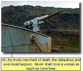 Ah, thy trusty merchant of death, the ubitquitous and ever-loyal harpoon. Never shall I love a woman as much as I love thee.